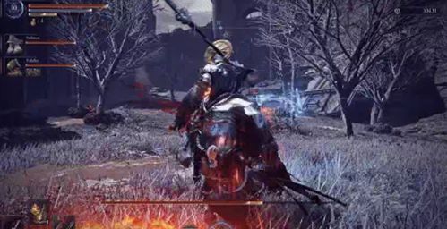 《艾尔登法环》女爵解锁秘籍：掌握黑夜君临女爵解锁技巧