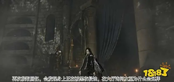 艾尔登法环复仇者攻略：掌握黑夜君临复仇技巧，轻松制胜！