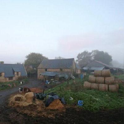 农作物快速生长必备条件揭秘，幻想生活i打造高效农场