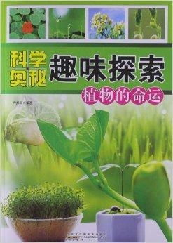 《幻想生活i》作物种植攻略:解锁神秘作物种植技巧 《幻想生活i》作物种植攻略:解锁神秘作物种植技巧