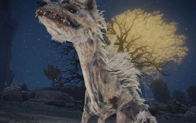 艾尔登法环三头犬攻略:暗夜野兽高效打法揭秘 艾尔登法环三头犬攻略:暗夜野兽高效打法揭秘