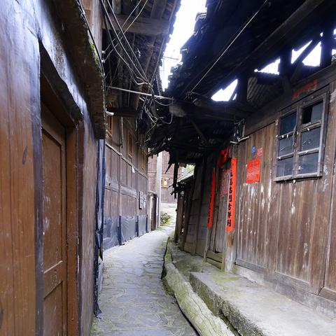 《幻想生活i》森林建造秘籍：解锁独特生态家园新玩法