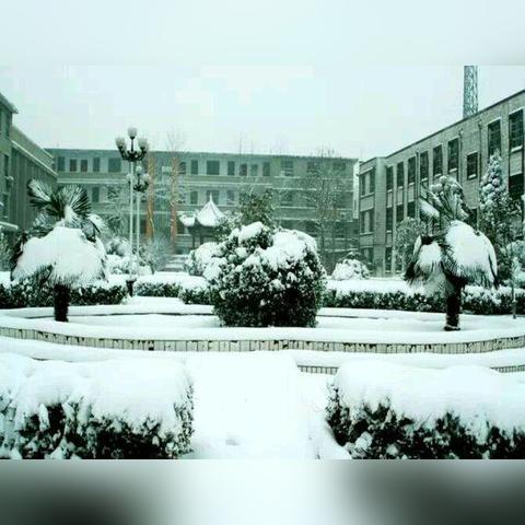 《幻想生活i》森林建造秘籍：解锁独特生态家园新玩法