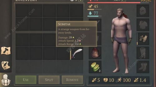 《幻想生活i》钢铁龟壳攻略:高效获取方法大揭秘 《幻想生活i》钢铁龟壳攻略:高效获取方法大揭秘