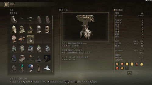 《艾尔登法环》无赖职业攻略：黑夜君临玩法深度解析，新手必看！