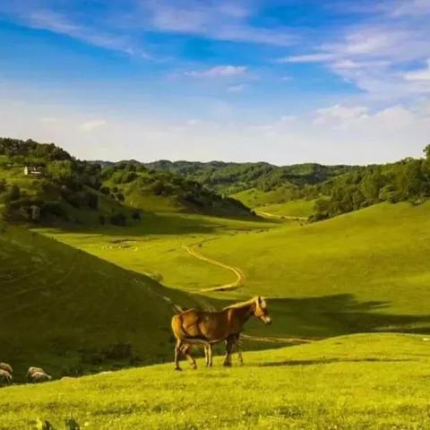 《幻想生活i》高效刷级攻略：无垠大陆最佳升级地点揭秘