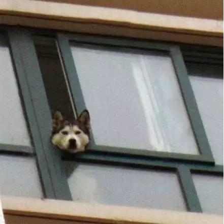 《幻想生活》独门秘籍:轻松获取毕业武器素材,解锁转圈圈龙与偷时少女! 《幻想生活》独门秘籍:轻松获取毕业武器素材,解锁转圈圈龙与偷时少女!