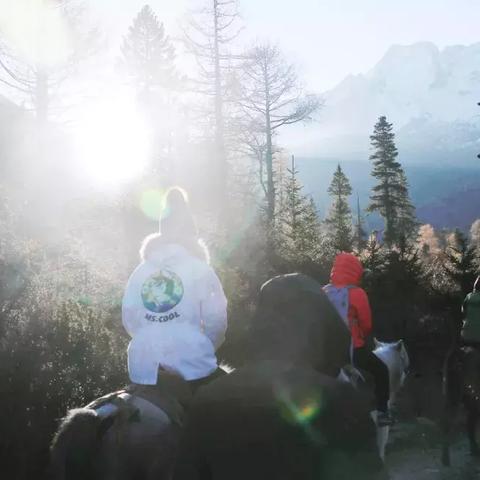 《光与影33号远征队》落叶地攻略：高效全收集秘籍大揭秘