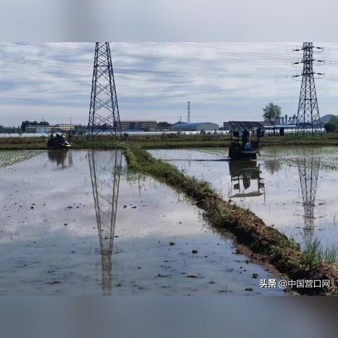 《胜利女神新希望》兑换码获取攻略:轻松兑换,解锁新希望! 《胜利女神新希望》兑换码获取攻略:轻松兑换,解锁新希望!