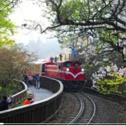 《崩坏星穹铁道》风堇装备搭配攻略+培养技巧,深度解析技能机制! 《崩坏星穹铁道》风堇装备搭配攻略+培养技巧,深度解析技能机制!