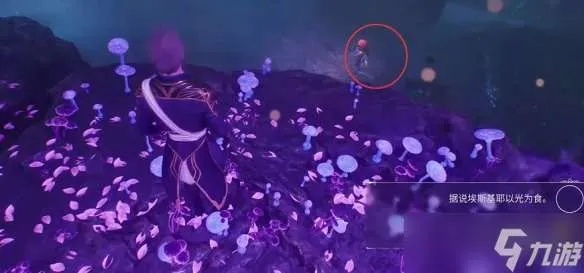《光与影33号远征队》纪石内部默偶攻略：快速定位与路线解析秘籍