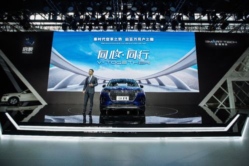 狂野巴风德卡组攻略:揭秘制胜秘籍,轻松登顶巅峰 狂野巴风德卡组攻略:揭秘制胜秘籍,轻松登顶巅峰