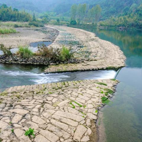 幻想生活i钓鱼技巧揭秘:高效捕鱼攻略大公开 幻想生活i钓鱼技巧揭秘:高效捕鱼攻略大公开