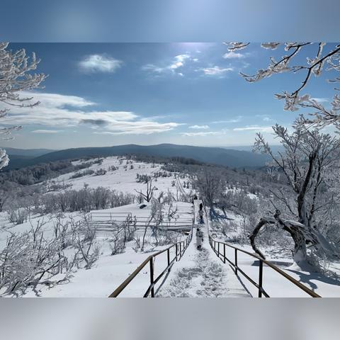 《幻想生活》探秘:揭秘龙转圈圈与少女偷时秘境宝藏点 《幻想生活》探秘:揭秘龙转圈圈与少女偷时秘境宝藏点