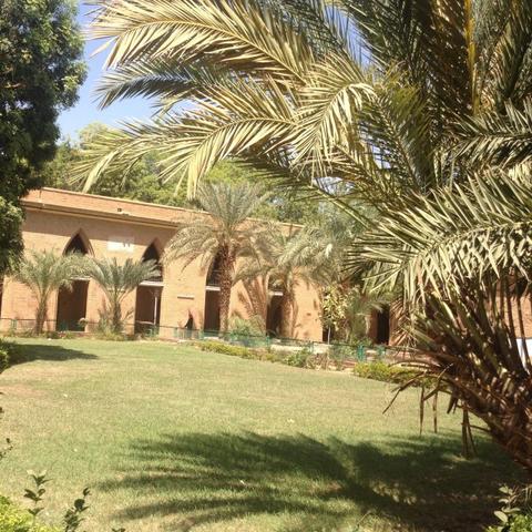 《苏丹的游戏》声望系统攻略:解锁神秘新价值,快速提升实力 《苏丹的游戏》声望系统攻略:解锁神秘新价值,快速提升实力