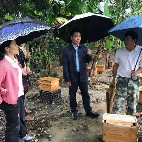 《光与影33号远征队》绘母之力符纹攻略:轻松掌握高效获取技巧 《光与影33号远征队》绘母之力符纹攻略:轻松掌握高效获取技巧