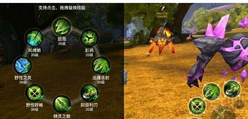 莫诺柯构筑攻略：技能加点与符纹搭配技巧深度解析