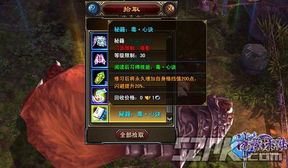 吕涅流派符纹搭配攻略：打造最强33号远征队，解锁隐藏属性！