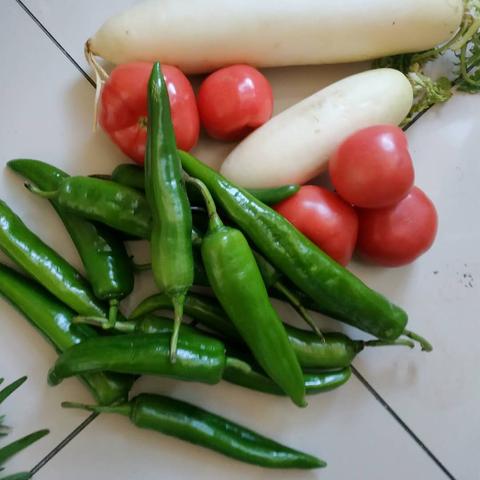 《光与影33号》角色加点攻略:揭秘高效属性分配技巧 《光与影33号》角色加点攻略:揭秘高效属性分配技巧