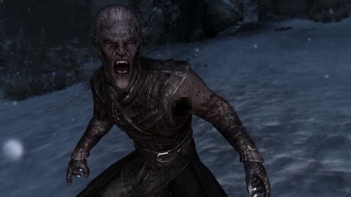 《上古卷轴4重制版》女盗贼捏脸攻略：独家分享，打造个性角色！