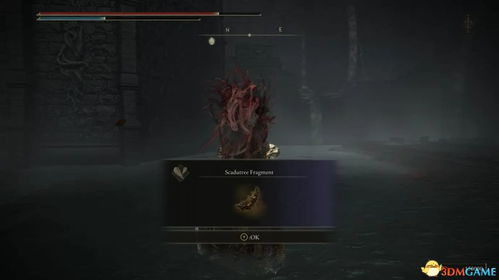 《秘影曼德拉》减伤流攻略：揭秘高效装备搭配技巧