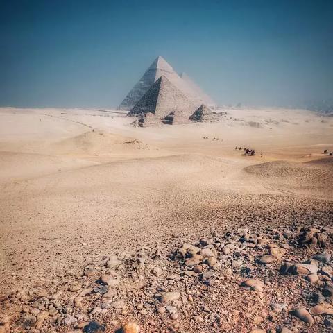 《苏丹的游戏》哈桑剧情攻略:揭秘选择技巧,助你轻松通关 《苏丹的游戏》哈桑剧情攻略:揭秘选择技巧,助你轻松通关