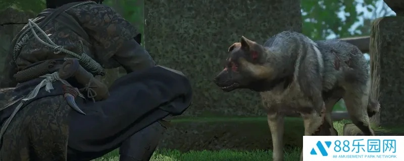 《刺客信条影》宠物收集攻略:揭秘高效获取方法,解锁神秘宠物! 《刺客信条影》宠物收集攻略:揭秘高效获取方法,解锁神秘宠物!