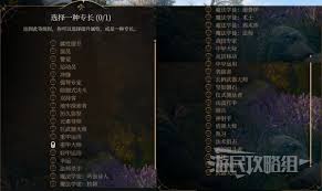 《博德之门3》死亡领域牧师升级秘籍：解锁副职能力全解析攻略