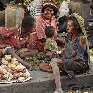 《苏丹的游戏》高效盈利攻略:揭秘每回合额外赚钱秘籍 《苏丹的游戏》高效盈利攻略:揭秘每回合额外赚钱秘籍