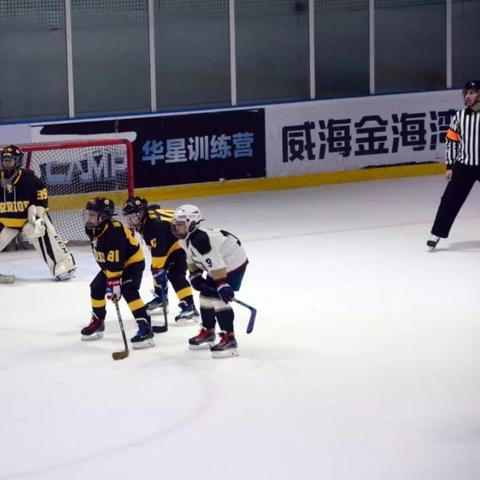 《星际争霸2》国服重启，账号数据无损，全新体验再启航