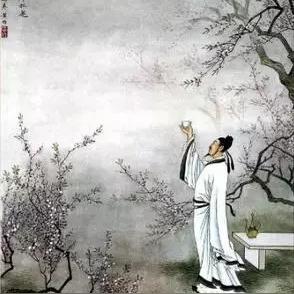 月下探险，经典合集再吟，银河之星冒险诗篇新赏