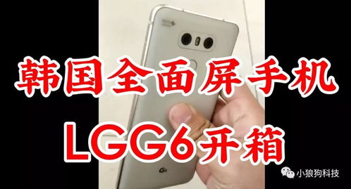 《IGNISTONE》评测:趣味源自全面,简约而不失新意 《IGNISTONE》评测:趣味源自全面,简约而不失新意