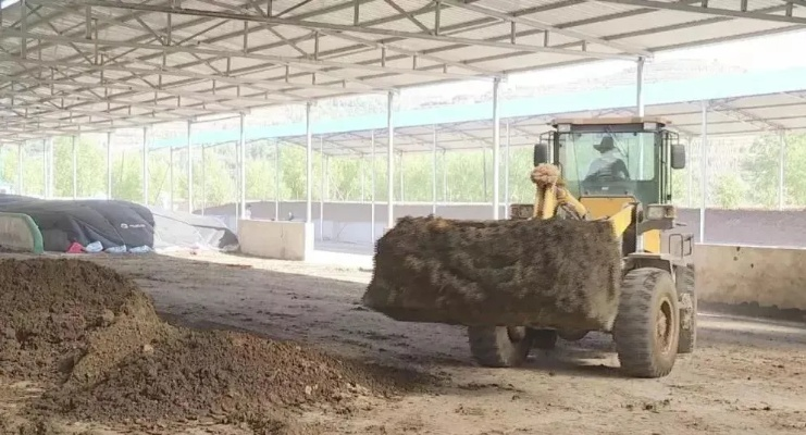 粪便白银大庄园：变革之种DLC深度解析，生态农业新纪元