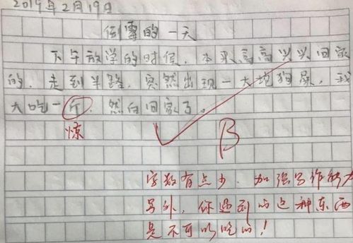 倒下重生，师父实力大增见证新境界