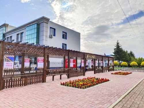 不停救援，大显身手！《大救特救》评测：拯救新篇章