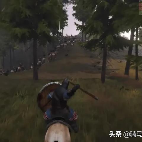 《骑马与砍杀2》霸主评测:细节解析,真章价值揭秘 《骑马与砍杀2》霸主评测:细节解析,真章价值揭秘