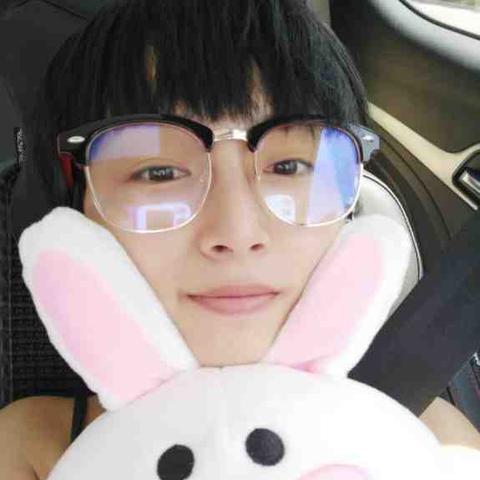 毛茸茸魅力无法挡，《动物园之星》评测：萌宠星球大揭秘