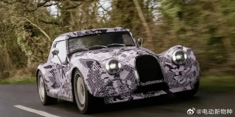 摩根魅力重生,野性开局引玩家共鸣 摩根魅力重生,野性开局引玩家共鸣