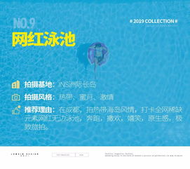 彩红岛2025终极奥秘，新手如何避开陷阱快速致富？