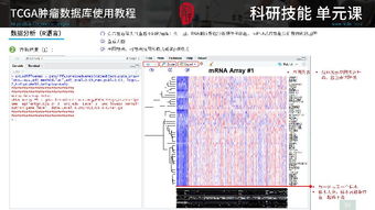 《九牧之野》武将保值新策略:横向拓展抗数值膨胀秘籍 《九牧之野》武将保值新策略:横向拓展抗数值膨胀秘籍