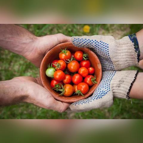 新手痛点,职业选择与入门陷阱如何破解? 新手痛点,职业选择与入门陷阱如何破解?