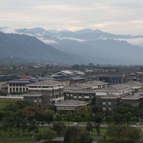 心灵探险策略卡牌,开启《疯狂面纱》新维度 心灵探险策略卡牌,开启《疯狂面纱》新维度