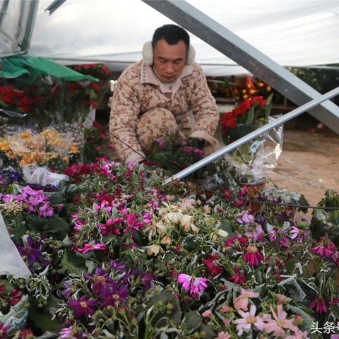 十六年前泪洒暴雪嘉年华，冠军梦碎他竟当众跪地？新价值：坚韧逆袭