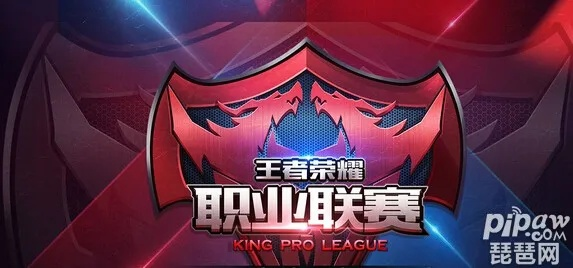 夜影巅峰争霸战,职业王者新巅峰荣耀揭晓 夜影巅峰争霸战,职业王者新巅峰荣耀揭晓