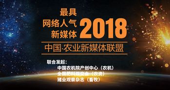 盛大网络官网2025年神秘入口大曝光,权威推荐解锁新纪元? 盛大网络官网2025年神秘入口大曝光,权威推荐解锁新纪元?