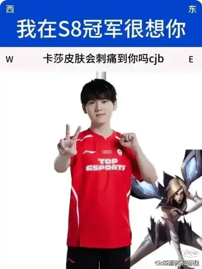 国产冠军上单荣耀买单，网友热议新价值诞生