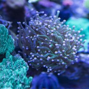 2025年游戏商城探秘,如何用策略省钱抢稀有物品? 2025年游戏商城探秘,如何用策略省钱抢稀有物品?