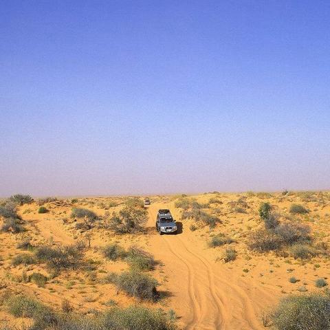 《红色沙漠》典藏版大揭秘：限定模型与实体特典震撼揭晓，尊享尊贵体验！