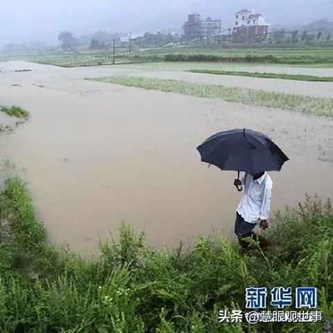 风云游戏下载速度如龟爬?解锁2025年闪电方案! 风云游戏下载速度如龟爬?解锁2025年闪电方案!