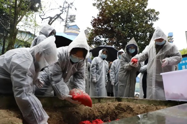 2025年还能挖到真·176纯净端？骨灰鉴定指南流出